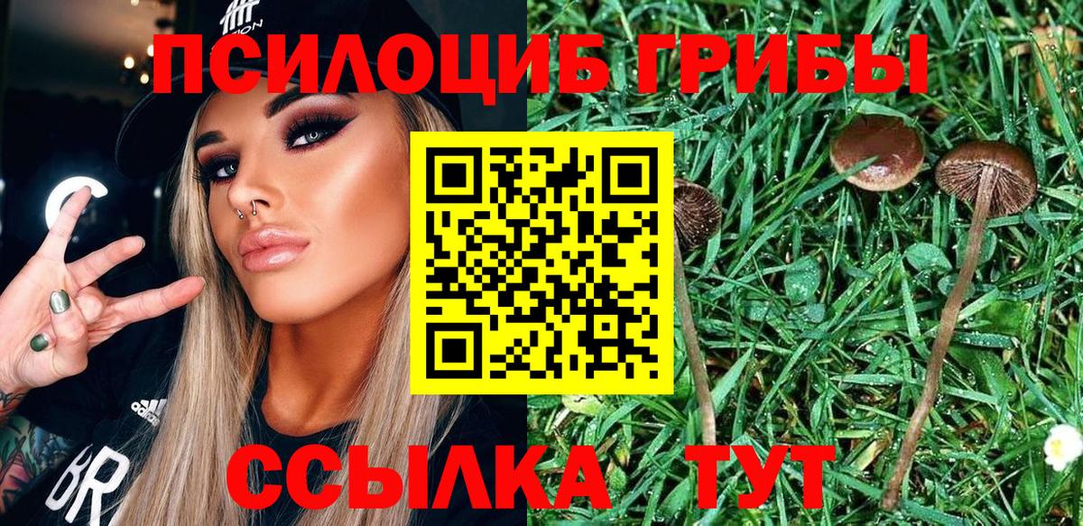 Назрань  Псилоцибиновые грибы MAGIC MUSHROOMS  Галлюциногенные грибы MAGIC MUSHROOMS  Вход с VPN 